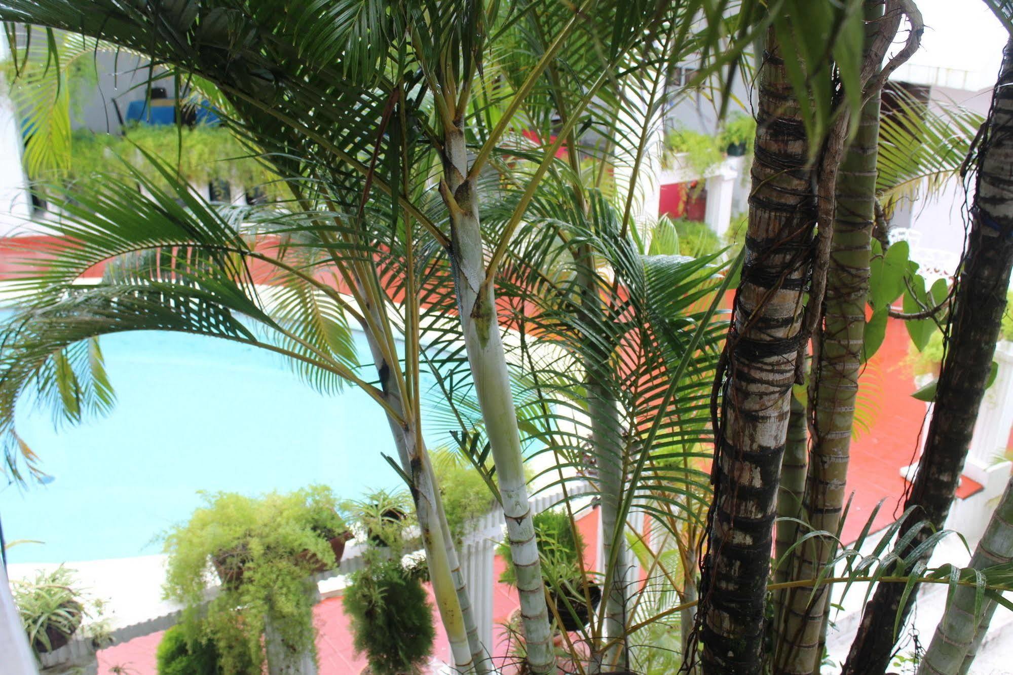 Hotel Grecia Real San Salvador Exteriér fotografie